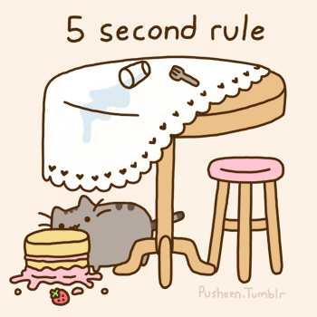 5-second-rule.gif