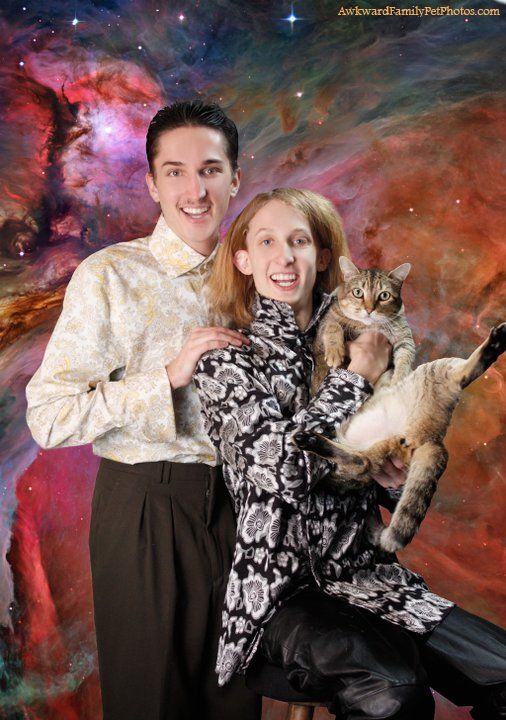 Weird family photos with cats