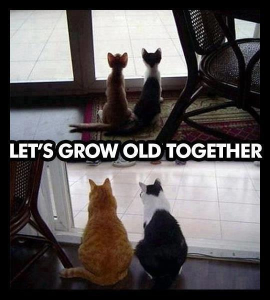 Let's grow old together