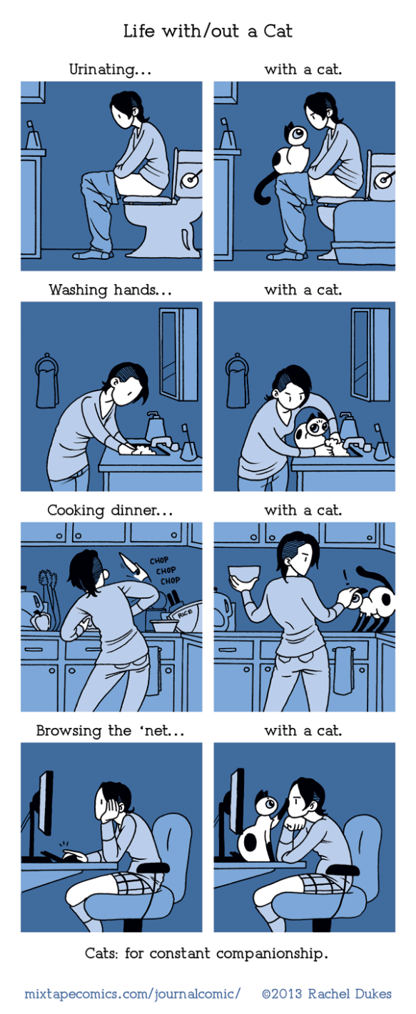 Life with/out a Cat